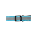 Miniatyrbild 4 av 6: Jackson Pet Co Reflex Halsband för Hund S-M Blå Blue S-M