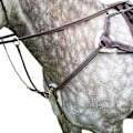 Miniatyrbild 1 av 3: Salisbury Läderstygn Hästbröstplatta Ponny Australisk Nöt Australian Nut Pony
