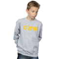 Miniatyrbild 2 av 3: Star Wars Pojkar The Rise Of Skywalker C-3PO Text Logo Sweatshirt Sports Grey 3-4 Years