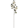 Miniatyrbild 1 av 6: Hill Interiors Konstgjord vår apelsinblomma En storlek Vit White One Size