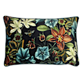 Miniatyrbild 1 av 5: Evans Lichfield Midnight Garden Aquilegia Kuddfodral 40cm x Teal 40cm x 60cm