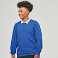 Miniatyrbild 2 av 2: AWDis Academy Herr Crew Neck Raglan Sweatshirt M Royal Blue Royal Blue M