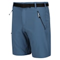 Miniatyrbild 3 av 4: Regatta Mens Xert III Stretch Shorts 44R Stellar Stellar 44R