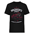 Miniatyrbild 1 av 4: Harry Potter Unisex Vuxen All Aboard T-Shirt XXL Svart Black XXL