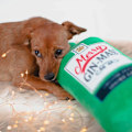 Miniatyrbild 3 av 4: House Of Paws Merry Gin-Mas Jumbo Hundepip Squeaky Leksak Storlek En Grön Green/White One Size