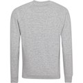 Miniatyrbild 2 av 3: AWDis Academy Herr Crew Neck Raglan Sweatshirt L Grå Grey L