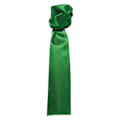 Miniatyrbild 1 av 2: Premier Colours Enfärgad Scarf One Size Smaragd Emerald One Size