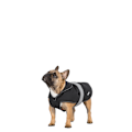 Miniatyrbild 3 av 6: Trespass Butch Touch Fastening Softshell Hundjacka XXS Svart Black XXS