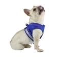 Miniatyrbillede 4 af 5: Hundesele med snor og refleks Blue L