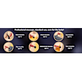 Miniatyrbillede 5 af 5: Massage gun with 4 interchangeable heads and 6 intensity levels Red one size