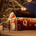 Miniatyrbillede 3 af 5: LED-lyskæde 100m 1000LEDs udendørs, Ip44 vandtæt, varm hvid dekorationslys til hjem, have, træ, fest, bryllup, jul HIASDFLS