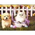 Miniatyrbild 1 av 5: Diamond Painting / Diamantmålning - 30x40cm - Katt och Hund multifärg