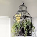 Pikkukuva 11 / 11: Klibbig Insektsfälla 12-pack Yellow