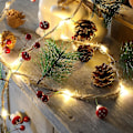 Miniatyrbild 1 av 5: Svamp Tallbarrskottar Jul Ljusslinga Inomhus Utomhus Fairy Light