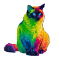 Miniatyrbild 1 av 4: 224 Bitar Regnbåge Katt Träpussel