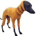 Miniatyrbilde 5 av 5: Vinter Hundejakke Tettsittende Hundehettegenser Hundegenser for Greyhound Whippet Gray M