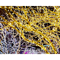 Miniatyrbillede 3 af 5: Gypsophila Lyskæder Julelys Bryllupslyskæder Feriedekoration Red 10M-100LED