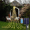Miniatyrbilde 1 av 5: Utendørs Juledekorasjoner Stjernelys yellow