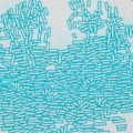 Miniatyrbild 4 av 8: Tryckt Broderi Enkelt 3-Dimensionellt Klassiskt Vackert Broderikit för Heminredning Gåva Monet Näckrosor
