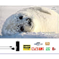 Miniatyrbillede 3 af 5: U2C T2 105 DVB-T DVB-T2 1080P HD TV Receiver Stick Set Top Box