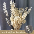 Miniatyrbild 2 av 4: Torkade Blommor Ornament Naturliga Eviga Växter Grenar Konst Heminredning För Gör-det-själv-blommor