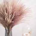 Miniatyrbild 3 av 4: Torkad Blomsterbukett Naturlig Torkad Blomsterbukett Vass Flores Pampas Veteax Setaria För Hemmet D