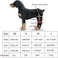 Miniatyrbilde 5 av 5: 1 Par Hund Bakbenstøtte For Hund Bein Sårheling, Forebygger Leddskader Og Forstuinger, Kjæledyr Hund Leddbandasje Reflekterende Blå S Reflective Blue
