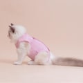 Miniatyrbild 3 av 4: Katt steriliseringskläder söt vind andningsbar stretch bomull fa Pink (solid color) L