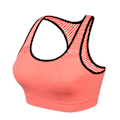 Miniatyrbild 7 av 9: Yoga BH Trådlös Push Up Sport-BH Topp Stötsäker Tränings-BH för Kvinnor Svart L Black