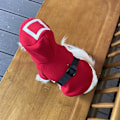 Miniatyrbillede 2 af 5: Kæledyr Squid Game Kat Hund Hættetrøje Varmt Kostume Tøj Triangle red XL