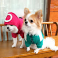 Miniatyrbillede 3 af 5: Kæledyr Squid Game Kat Hund Hættetrøje Varmt Kostume Tøj Triangle red M