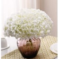 Miniatyrbillede 6 af 6: 10 stk. hvide hortensia silke blomsterhoveder pose elfenben hvid