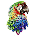 Miniatyrbillede 1 af 5: Unik Form Træpuslespil Jigsaw DIY Hjernetræning Pædagogisk Legetøj Parrot A3