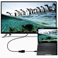 Miniatyrbilde 3 av 4: VGA til HDMI-adapter for Mac og PC TV-konverteringsskjerm