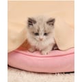 Miniatyrbillede 3 af 5: Hvalpe Tæpper Fleece Kæledyrstæppe Kompatibelt med Hunde Hvalpe Katte Kæledyr Army Green
