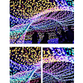 Miniatyrbillede 2 af 4: Gypsophila Lyskæder Julelys Bryllupslyskæder Feriedekoration Multicolor 10M-100LED