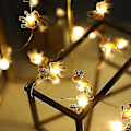 Miniatyrbillede 1 af 2: Twinkle Star 50 LED Julelyskæde color8
