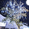 Miniatyrbilde 4 av 5: Regndråpe Lys For Juledekorasjon, Julelys Utendørs 12 Tommer 8 Rør white