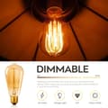 Miniatyrbild 2 av 6: [LCS]ST64 Vintage Light Bulbs with E27 Edison Screw Cap, Squirrel Cage Filament Lamp, 2700K Warm White Dimmable, 6-pack [Energy Class G] 40.0 Watt