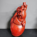 Miniatyrbillede 4 af 4: Kreativ Plantepotte Simulation Hjerteformet Vase Resin Anatomisk Organ Blomsterpotte Ornament Til Red M