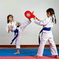 Miniatyrbillede 3 af 4: 1 Par Holdbare Taekwondo Sparkepuder red