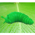 Miniatyrbilde 2 av 4: Artikulert Stretch Slug Fidget Leke, Sensoriske Leker green
