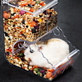 Miniatyrbild 4 av 4: Akryl Hamster Matare Automatisk Behållare Matare Kompatibel med Små Husdjur A