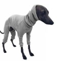 Miniatyrbilde 5 av 5: Vinter Hundejakke Tettsittende Hundehettegenser Hundegenser for Greyhound Whippet Yellow S