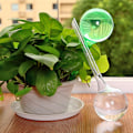 Miniatyrbild 4 av 4: Förpackning med 4 Växter för Inomhusbruk PVC Vattningsglober Spikar Aqua Stakes Automatiskt Självvattningssystem Dia. 8cm, Höjd 26cm