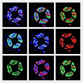 Miniatyrbilde 2 av 4: 5M 3-tasters LED-lys fleksibel stripe USB infrarød kontroll RGB SMD2
