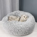Miniatyrbillede 3 af 10: Queta Katteseng, Smuk Kæledyrsseng, Lille Hundeseng Kæledyrsseng Plys Blød Rund Katteseng (50cm) lysegrå Diameter 50 cm light grey