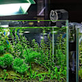 Miniatyrbillede 5 af 5: Automatisk fiskefoderautomat til akvarium med automatisk timer