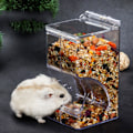 Miniatyrbild 2 av 4: Akryl Hamster Matare Automatisk Behållare Matare Kompatibel med Små Husdjur A