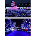 Miniatyrbillede 3 af 4: Gypsophila Lyskæder Julelys Bryllupslyskæder Feriedekoration Multicolor 50M-400LED